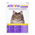 ATREVIA TRIO CATS LARGE (MORADA)