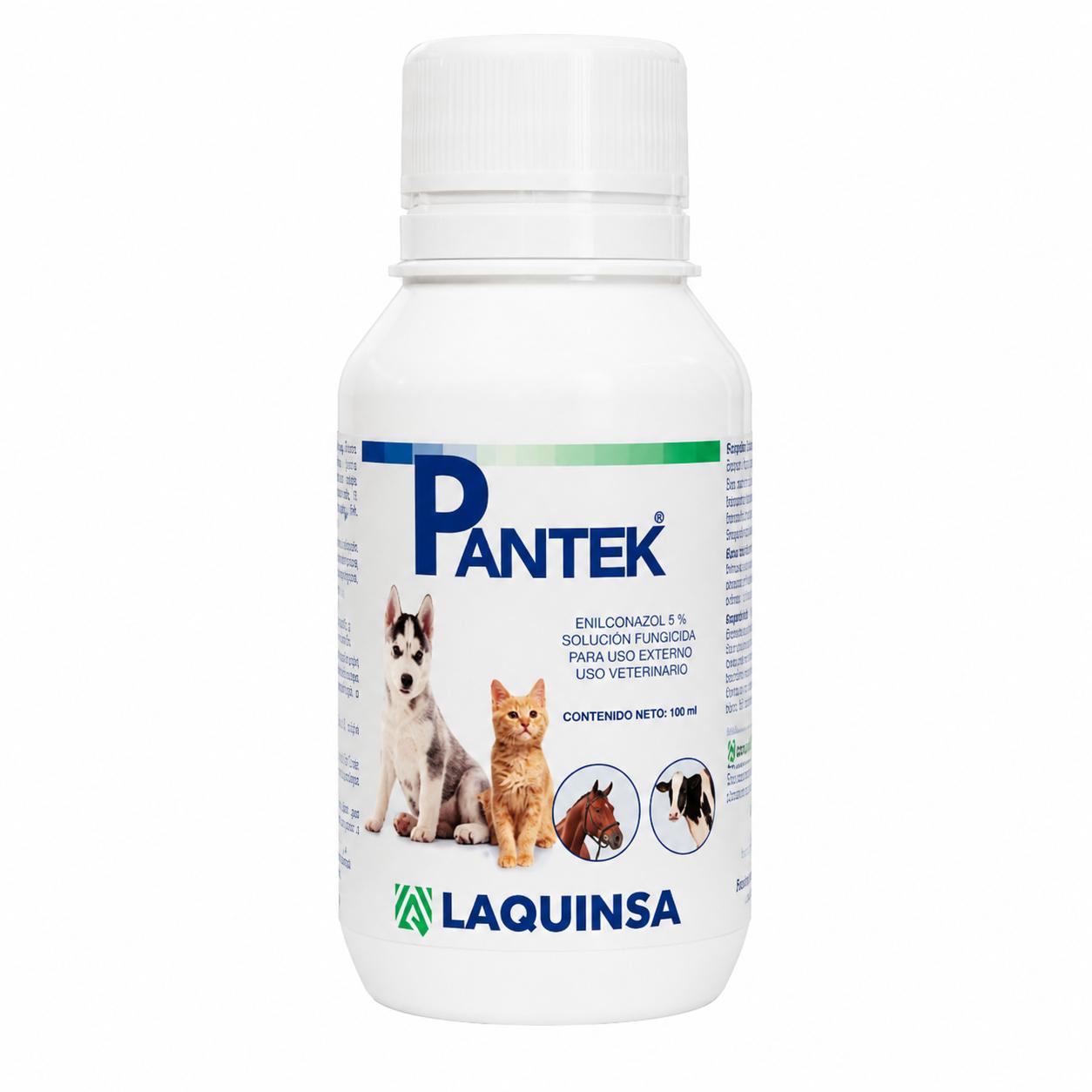 PANTEK  100 ML