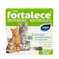 SUPLEMENTO NUTRICIONAL VIYO FORTALECE GATO 30 ML