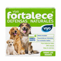 SUPLEMENTO NUTRICIONAL VIYO FORTALECE  PERRO 30 ML