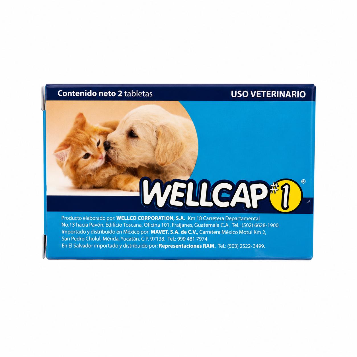 WELLCAP # 1 CAJA CON 2 TABLETAS