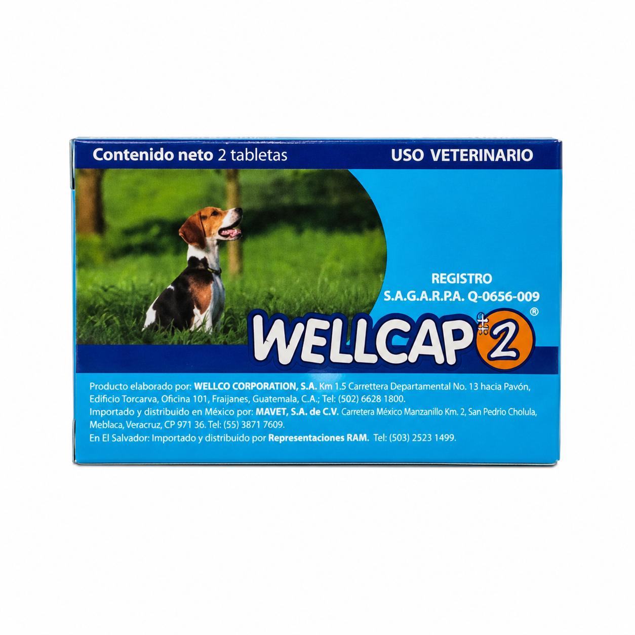WELLCAP # 2 CAJA CON 2 TABLETAS