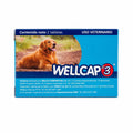 WELLCAP # 3 CAJA CON 2 TABLETAS