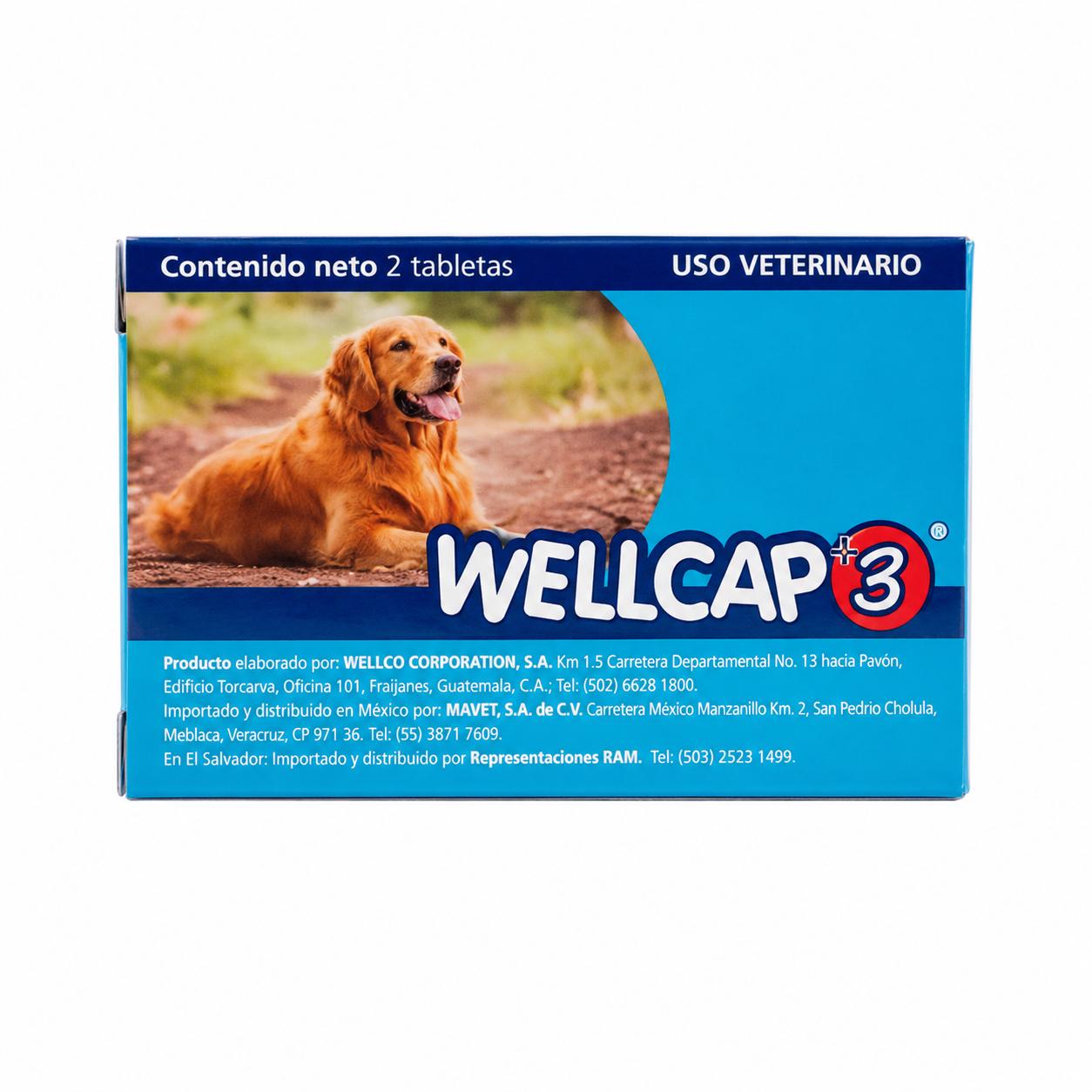 WELLCAP # 3 CAJA CON 2 TABLETAS
